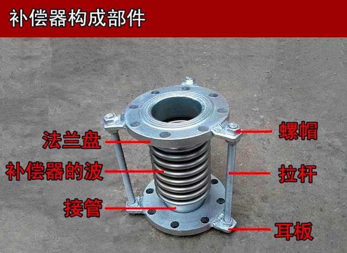 軸向波紋草莓视频在线入口價格